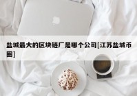 盐城最大的区块链厂是哪个公司[江苏盐城币圈]